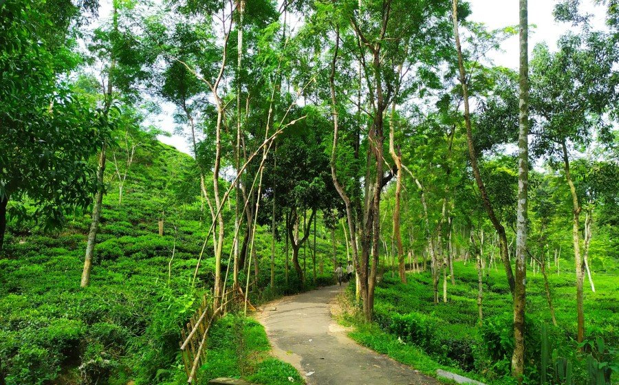 Study in UK: January 2026 Intake — Sylhet Counselling Day